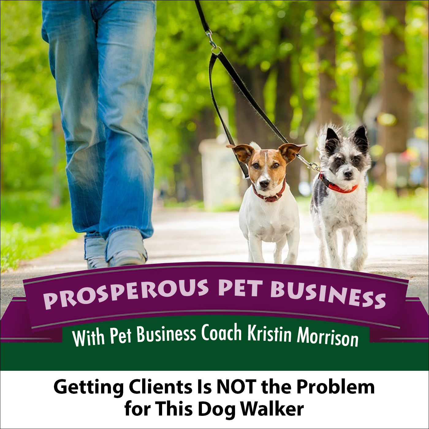 Prosperous Pet Business