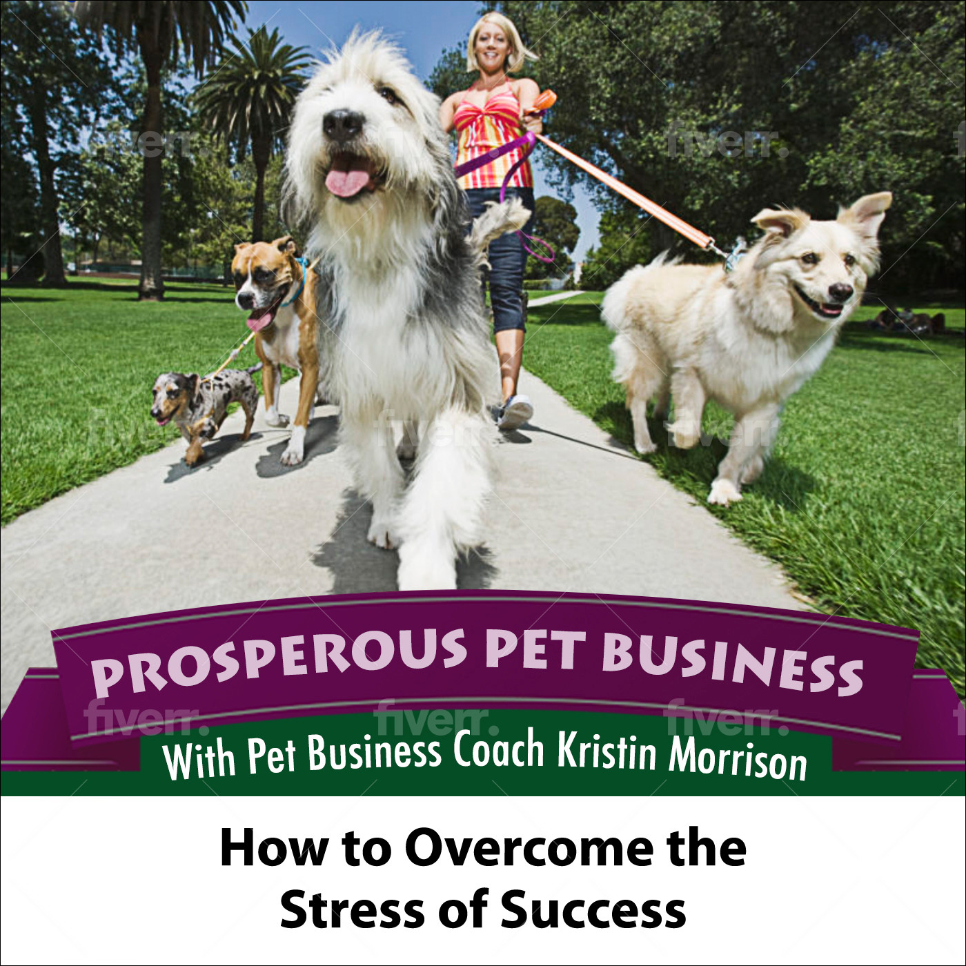 Episode 91. How to Overcome the Stress of Success