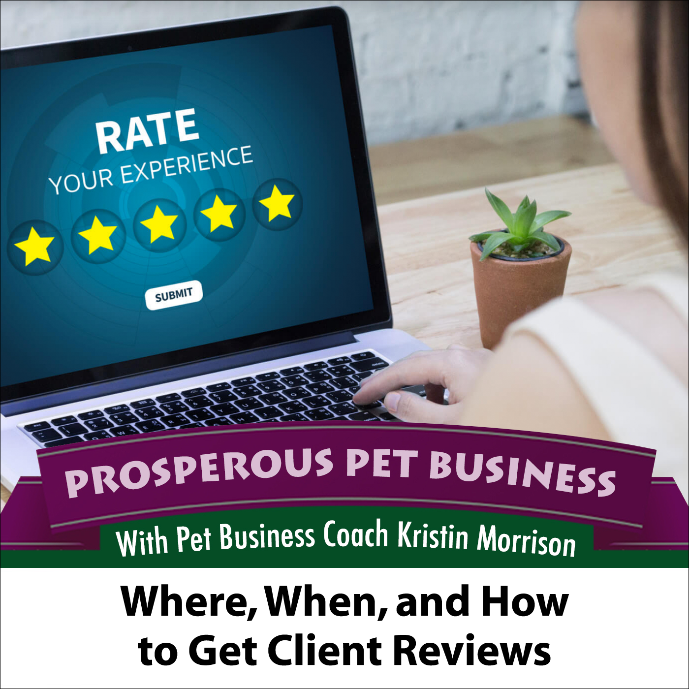 Episode 96. Where, When and How to Get Client Reviews