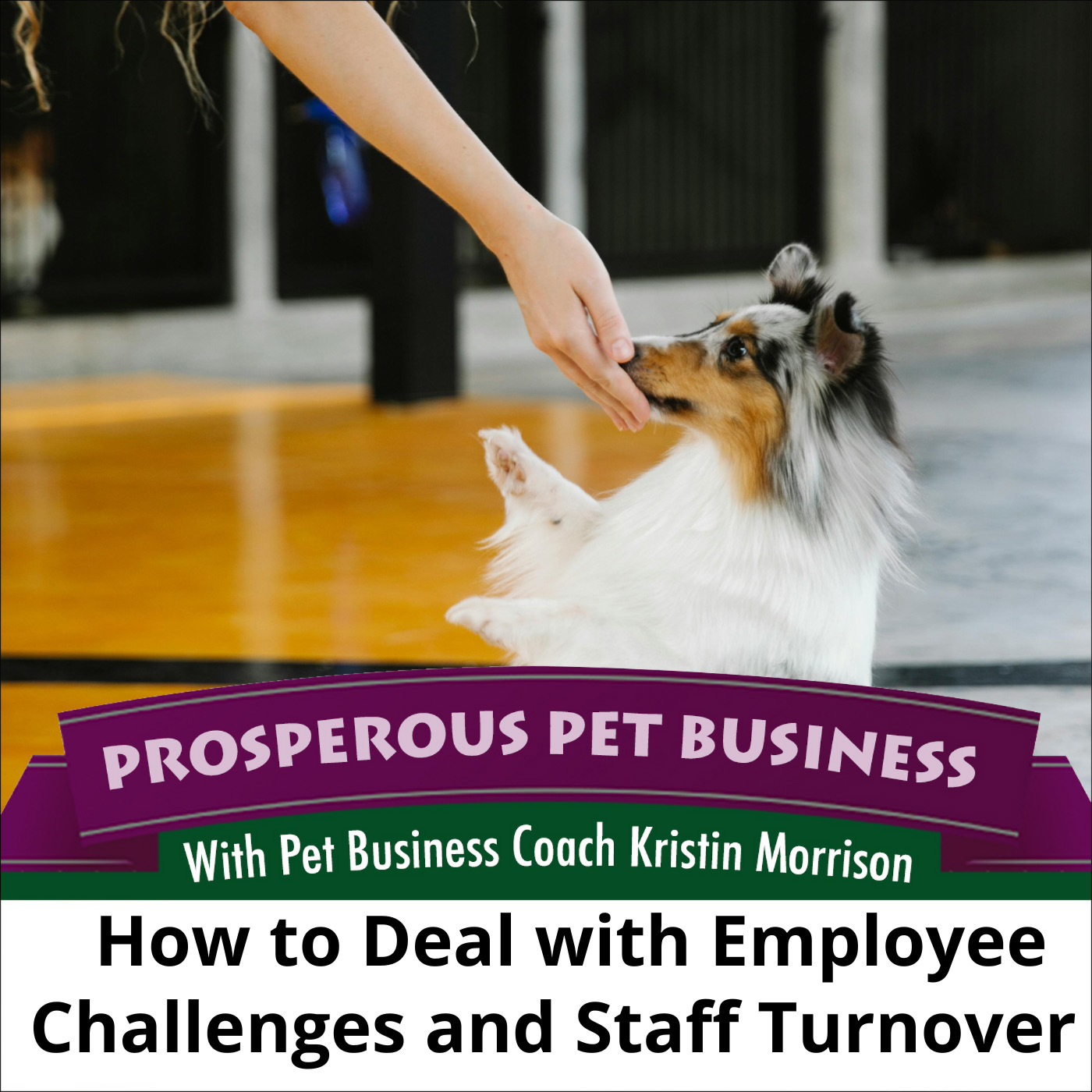 Ep. 169: How to Deal with Employee Challenges and Staff Turnover