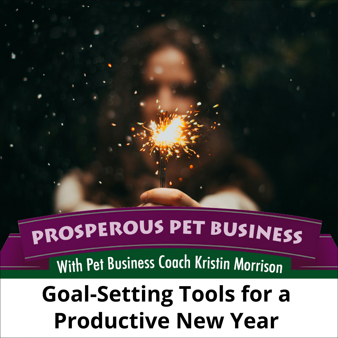 Ep. 171: Goal-Setting Tools for a Productive New Year