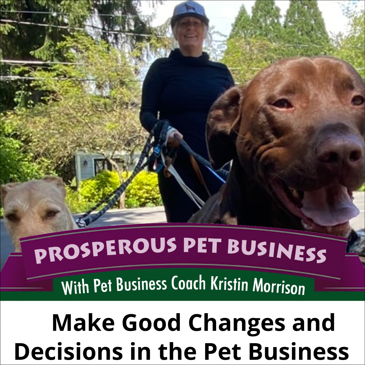 Ep. 176: Make Good Changes and Decisions in the Pet Business episode artwork